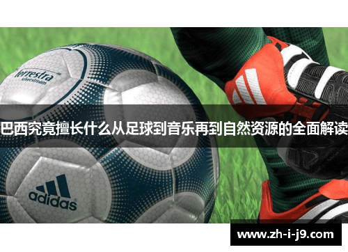 巴西究竟擅长什么从足球到音乐再到自然资源的全面解读