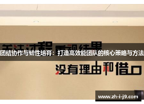 团结协作与韧性培育：打造高效能团队的核心策略与方法