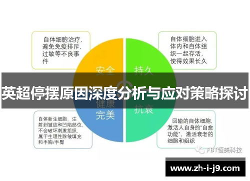 英超停摆原因深度分析与应对策略探讨